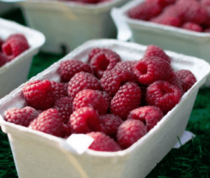 raspberries